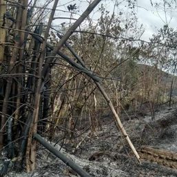 At least 100 hectares hit by forest fires in Negros Occidental