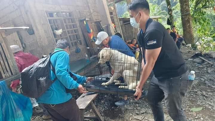 Davao de Oro landslide responders find themselves rescuing dogs, cats