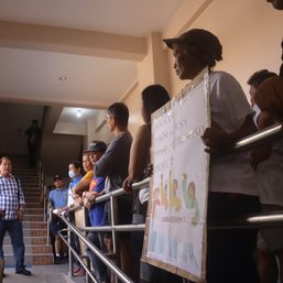 Villagers protest planned wind farm expansion project in Aklan