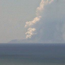 New Zealand begins sentencing of those involved in White Island volcanic eruption