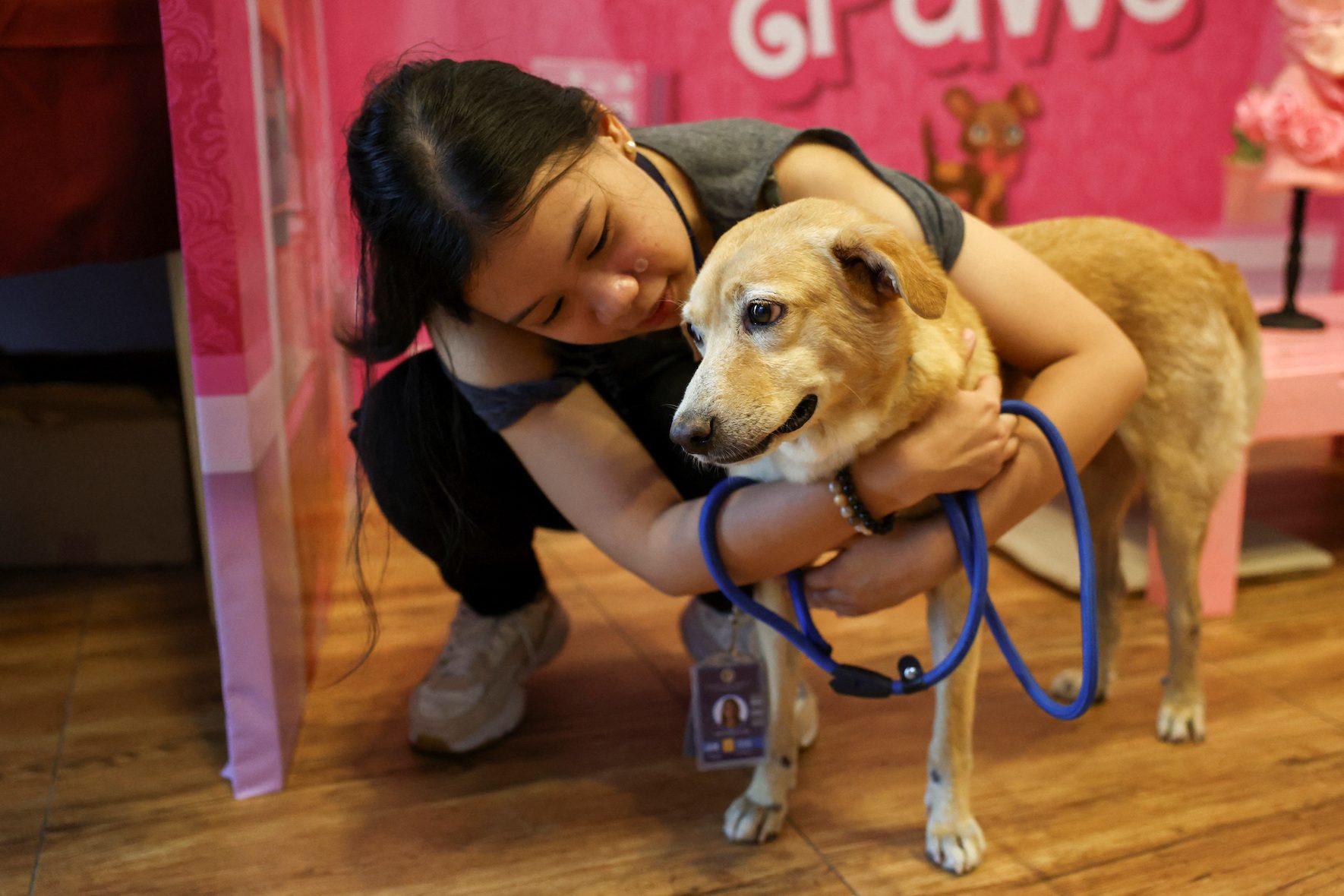 Rescued pets look for love on dates this Valentine’s Day
