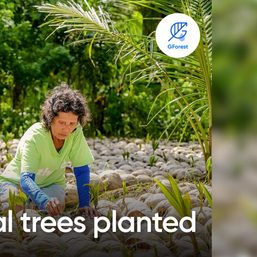 Plant a tree for free with every GCash transaction through GForest