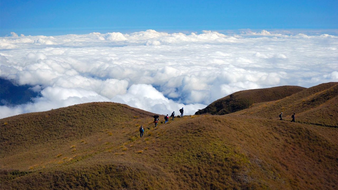 Take note, mountaineers: Pulag’s Akiki Trail closed due to forest fire