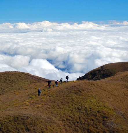 Take note, mountaineers: Pulag’s Akiki Trail closed due to forest fire