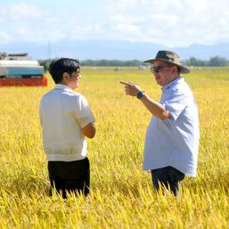 Gov’t ramps up rice production, imports in El Niño year