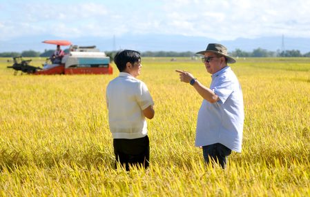 Gov’t ramps up rice production, imports in El Niño year