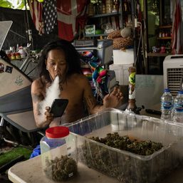 Thailand’s flourishing cannabis culture to end as government seeks ban