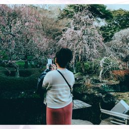 LOOK: Colors of winter, tinges of spring at Hasedera in Kamakura, Japan