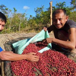 Hope with every cup: Mindoro roastery empowers Mangyan coffee farmers