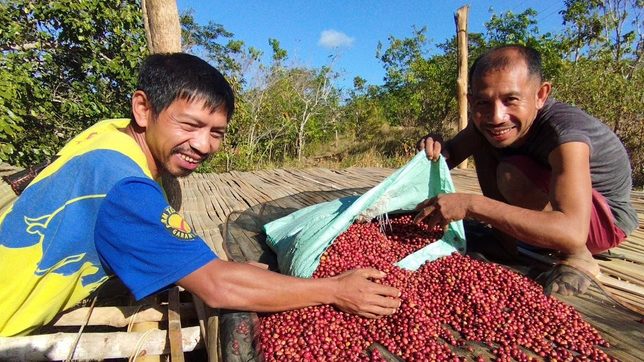 Hope with every cup: Mindoro roastery empowers Mangyan coffee farmers