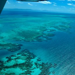 Australia’s Great Barrier Reef suffers major coral bleaching