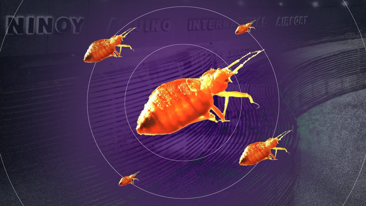 [Rappler’s Best] Bugged by the bug