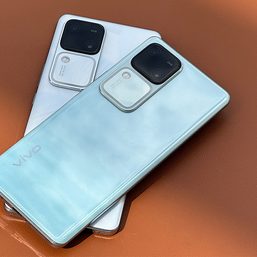 Here’s why we think the vivo V30 is a fashion accessory