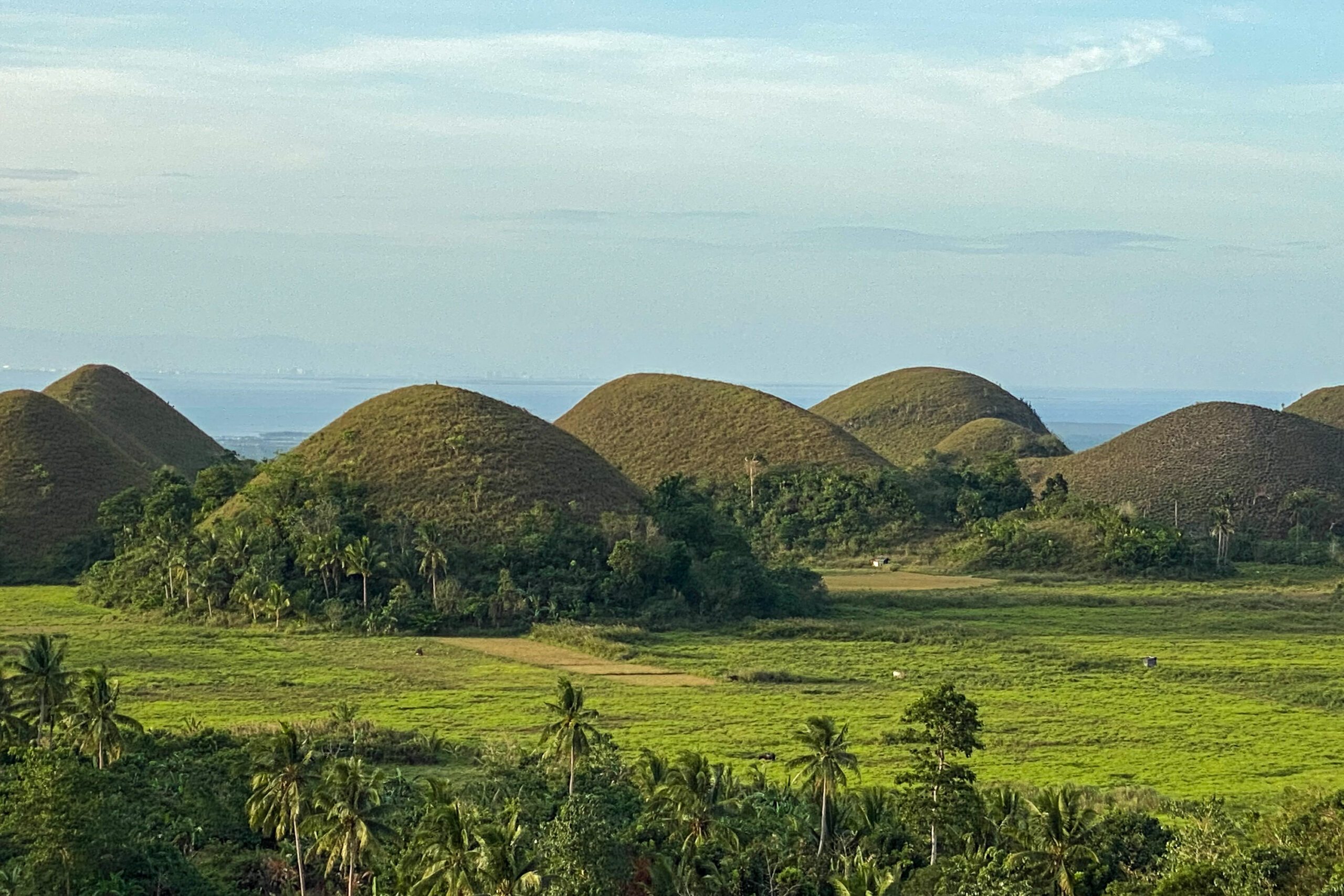 Envi group urges revocation of resolutions that allow Chocolate Hills resorts