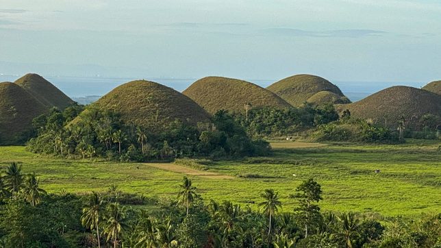 Envi group urges revocation of resolutions that allow Chocolate Hills resorts