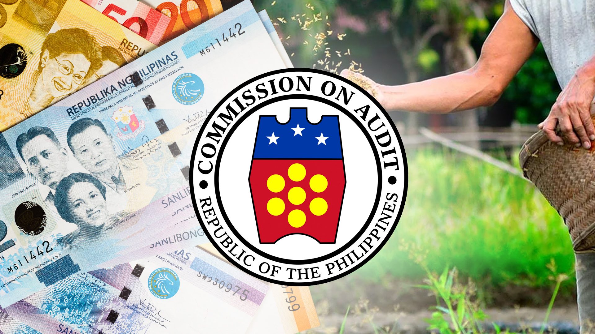 COA flags Nabcor’s unfinished liquidation a decade since abolition