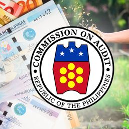 COA flags Nabcor’s unfinished liquidation a decade since abolition