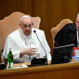 Pope Francis calls for studies into ‘ugly’ gender theory