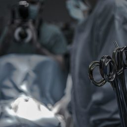 US surgeons perform first pig-to-human kidney transplant
