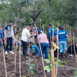 Puerto Princesa establishes arboretum to protect nature, support wildlife