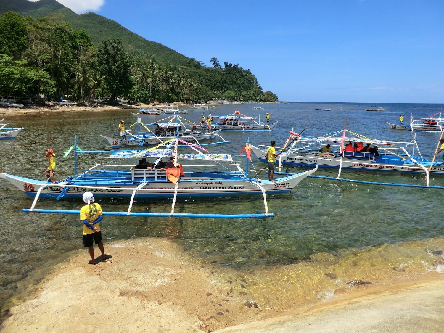 Puerto Princesa authorities to strictly implement 3-month closed season for reef fish in city