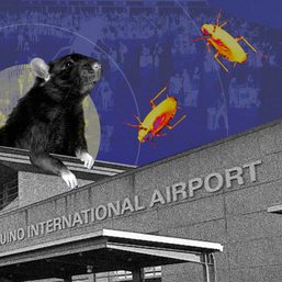 [Vantage Point] Bug and rodent infestation in NAIA: Why aren’t we surprised?