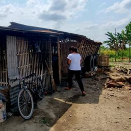 DAR Tarlac defers installation of Tinang farmers