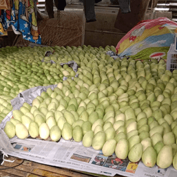 Man-go crazy! Get 4 kilos of Guimaras mangoes for P820 from island farmers