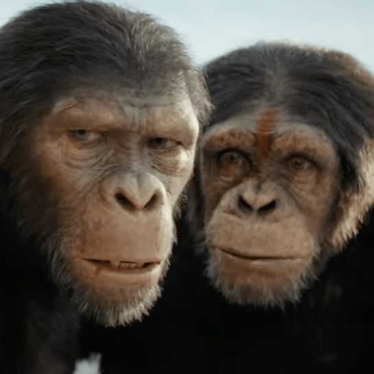 ‘Planet of the Apes’ franchise looks to the future with new film ‘Kingdom’