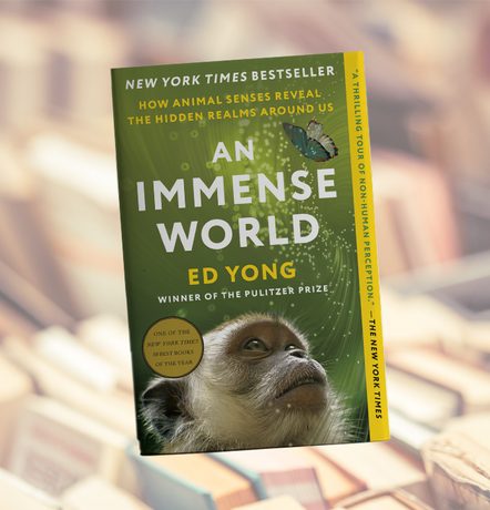 Ed Yong’s ‘An Immense World’ review: Understanding the world beyond our eyes