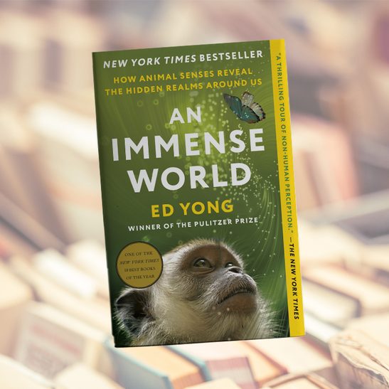 Ed Yong’s ‘An Immense World’ review: Understanding the world beyond our eyes