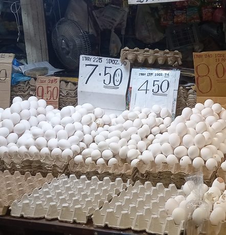 Negros Occidental chickens feel the heat, shrink eggs