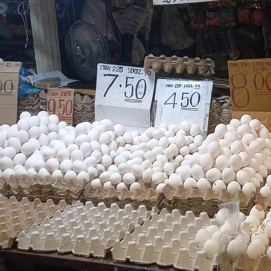 Negros Occidental chickens feel the heat, shrink eggs