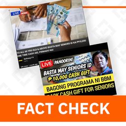 FACT CHECK: No P10,000 cash aid for all senior citizens from DSWD