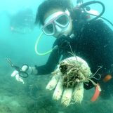 Thai divers seek to take on ‘ghost gear’ threatening marine life