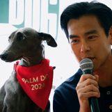 ‘Black Dog’ wins Un Certain Regard competition at Cannes