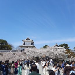 [ANALYSIS] Reflections on Japan’s cherry blossom tourism
