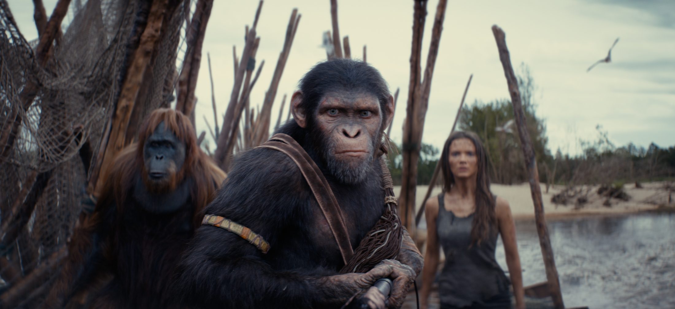 REVIEW: ‘Kingdom of the Planet of the Apes’ isn’t the legacy-quel it strives to be