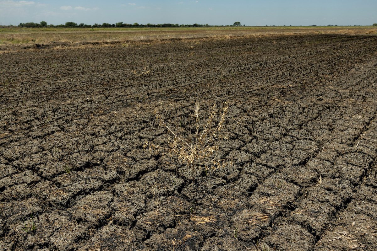 El Niño triggers job losses, lower crop yield