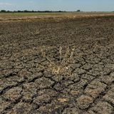 El Niño triggers job losses, lower crop yield