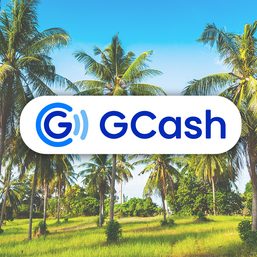 What makes a forest? Breaking down GCash’s coconut tree program