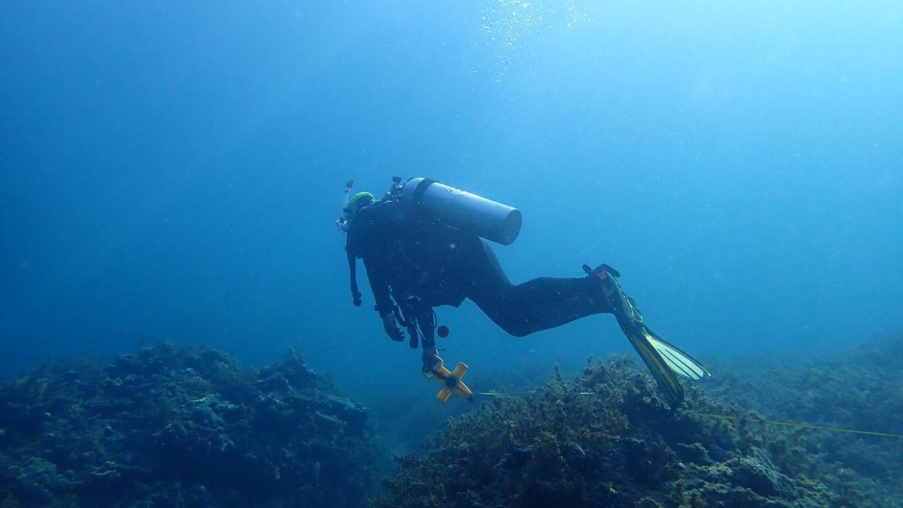 Scientists, economists, lawyers want to put price on damage in West Philippine Sea - Vimarsana News