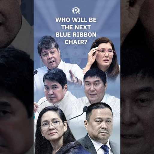 Why senators are hesitant to accept blue ribbon committee chairmanship