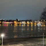 In Bonn, the birds were coming back