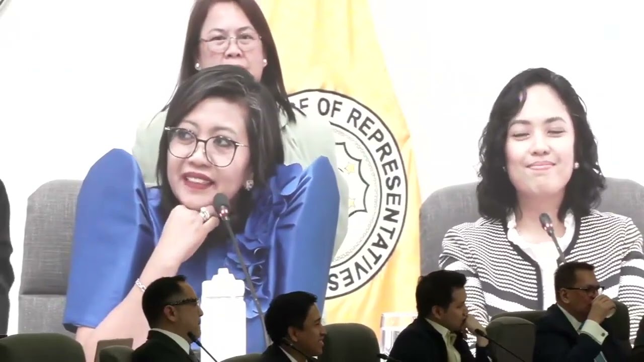 House punishes Bong Suntay with community service over remarks about Anne Curtis