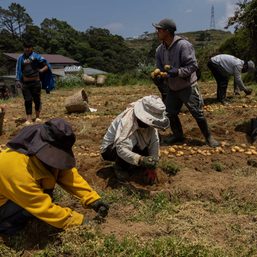 Unemployment eases to 5.3% in August 2026 as agriculture adds jobs