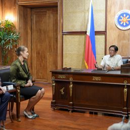 Zaldy Co detained, but Czech and French envoys could offer no other info to Marcos 