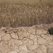 UN urges the world to ready for extreme heat risk from El Niño