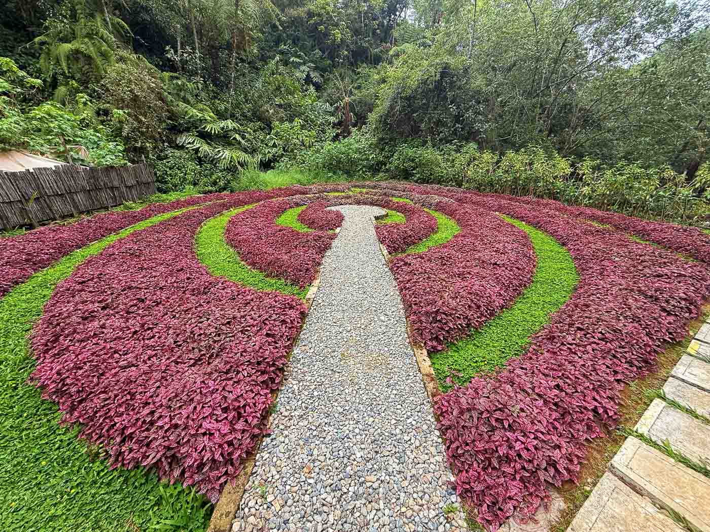 Mount Costa Baguio