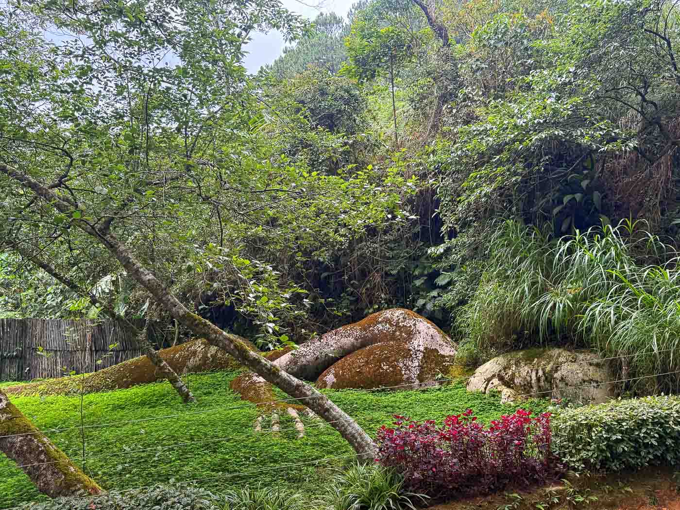 Mount Costa Baguio